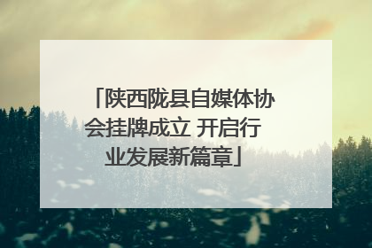 陕西陇县自媒体协会挂牌成立 开启行业发展新篇章