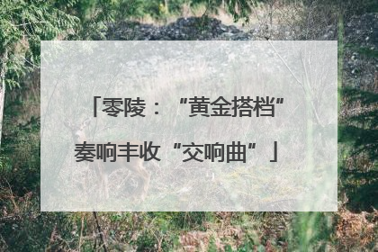 零陵：“黄金搭档”奏响丰收“交响曲”