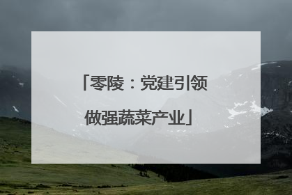 零陵：党建引领 做强蔬菜产业
