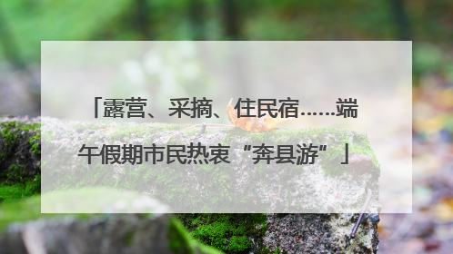 露营、采摘、住民宿……端午假期市民热衷“奔县游”