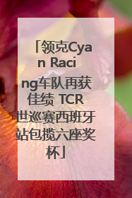 领克Cyan Racing车队再获佳绩 TCR世巡赛西班牙站包揽六座奖杯