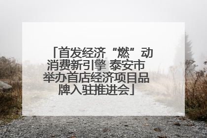 首发经济“燃”动消费新引擎 泰安市举办首店经济项目品牌入驻推进会