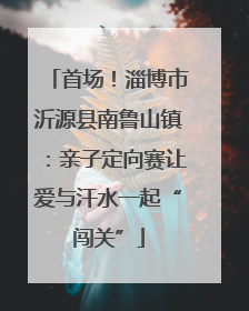 首场！淄博市沂源县南鲁山镇：亲子定向赛让爱与汗水一起“闯关”