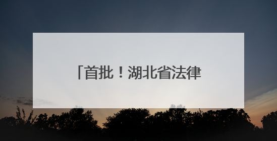 首批！湖北省法律援助中心驻高校工作站在武大揭牌