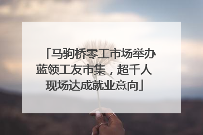 马驹桥零工市场举办蓝领工友市集，超千人现场达成就业意向