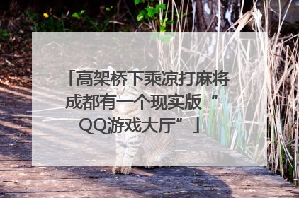 高架桥下乘凉打麻将 成都有一个现实版“QQ游戏大厅”