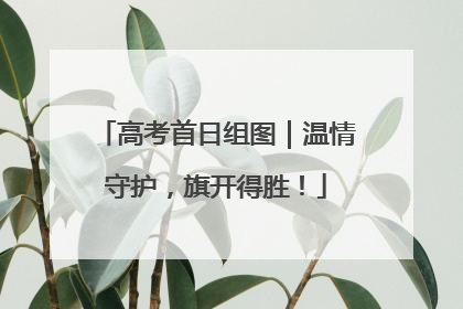 高考首日组图｜温情守护，旗开得胜！