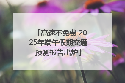 高速不免费 2025年端午假期交通预测报告出炉