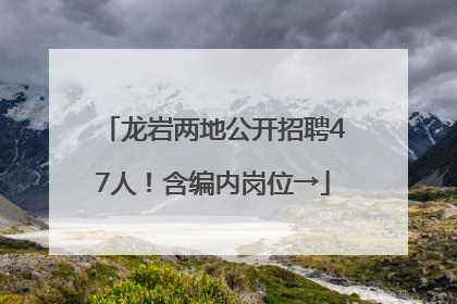 龙岩两地公开招聘47人！含编内岗位→