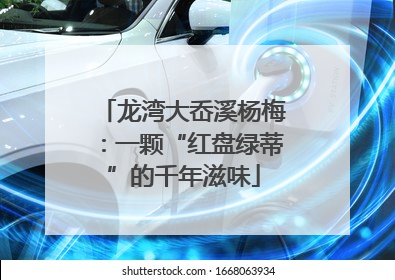 龙湾大岙溪杨梅：一颗“红盘绿蒂”的千年滋味