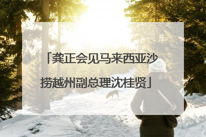 龚正会见马来西亚沙捞越州副总理沈桂贤