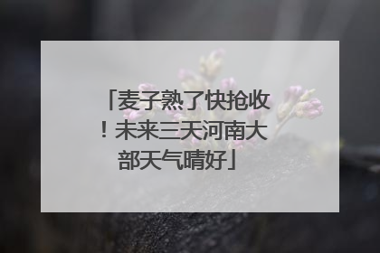 麦子熟了快抢收！未来三天河南大部天气晴好