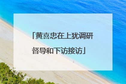 黄喜忠在上犹调研督导和下访接访