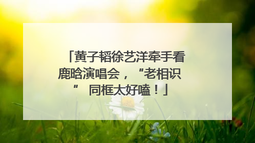 黄子韬徐艺洋牵手看鹿晗演唱会，“老相识” 同框太好嗑！