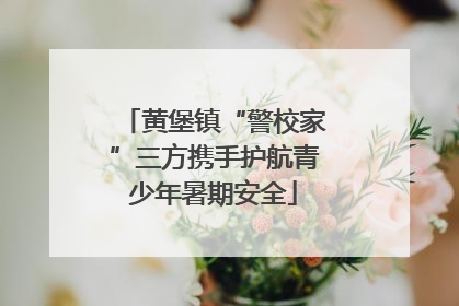 黄堡镇“警校家”三方携手护航青少年暑期安全