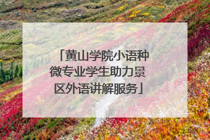 黄山学院小语种微专业学生助力景区外语讲解服务