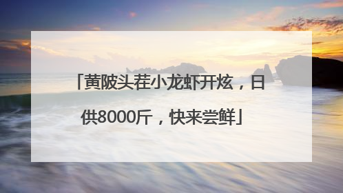 黄陂头茬小龙虾开炫，日供8000斤，快来尝鲜