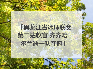 黑龙江省冰球联赛第二站收官 齐齐哈尔兰迪一队夺冠