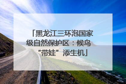黑龙江三环泡国家级自然保护区：候鸟“带娃”添生机