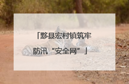 黟县宏村镇筑牢防汛“安全网”