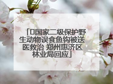 ﻿国家二级保护野生动物误食鱼钩被送医救治 郑州惠济区林业局回应