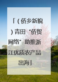 （侨乡新貌）青田“侨贸网络”助推浙江优质农产品出海