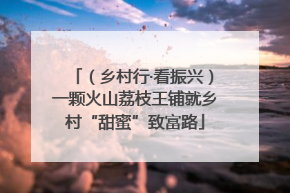 （乡村行·看振兴）一颗火山荔枝王铺就乡村“甜蜜”致富路
