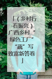（乡村行·看振兴）广西乡村“绿色工厂” “蔬”写致富新答卷