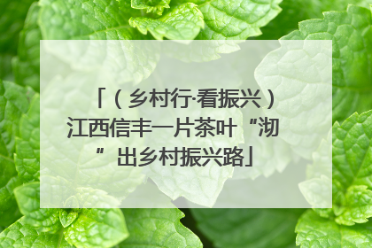 （乡村行·看振兴）江西信丰一片茶叶“沏”出乡村振兴路