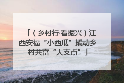（乡村行·看振兴）江西安福“小西瓜”撬动乡村共富“大支点”