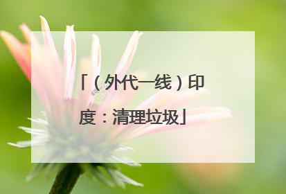 （外代一线）印度：清理垃圾