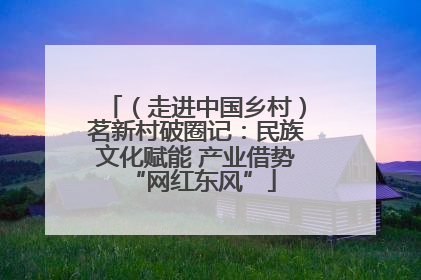 （走进中国乡村）茗新村破圈记：民族文化赋能 产业借势 “网红东风”