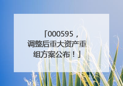 000595，调整后重大资产重组方案公布！