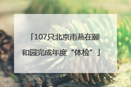 107只北京雨燕在颐和园完成年度“体检”
