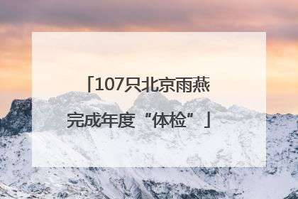 107只北京雨燕完成年度“体检”