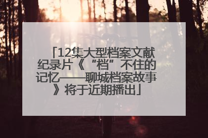 12集大型档案文献纪录片《“档”不住的记忆——聊城档案故事》将于近期播出