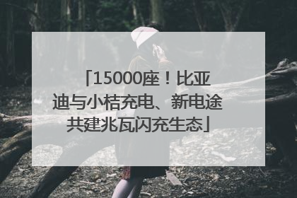 15000座！比亚迪与小桔充电、新电途共建兆瓦闪充生态