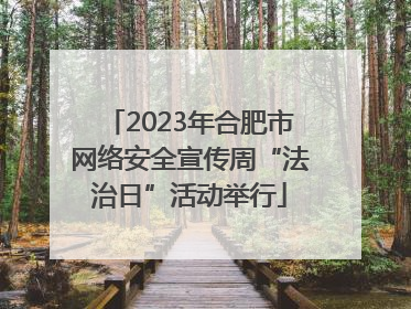 2023年合肥市网络安全宣传周“法治日”活动举行