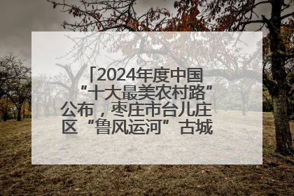 2024年度中国“十大最美农村路”公布，枣庄市台儿庄区“鲁风运河”古城文化廊道上榜！