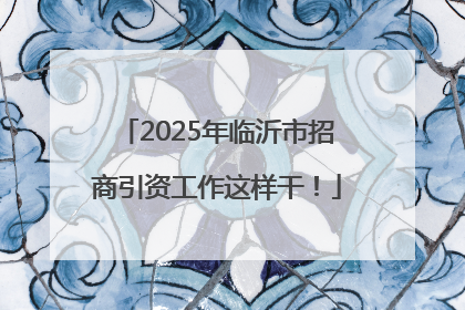 2025年临沂市招商引资工作这样干！