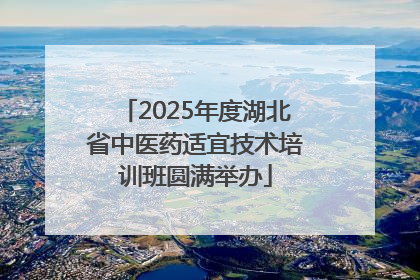 2025年度湖北省中医药适宜技术培训班圆满举办