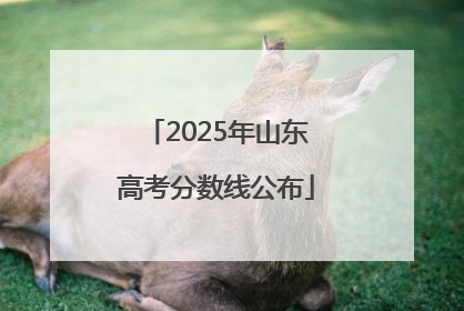 2025年山东高考分数线公布
