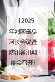 2025年河南省总河长会议暨防汛备汛调度会召开