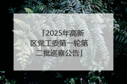 2025年高新区党工委第一轮第二批巡察公告
