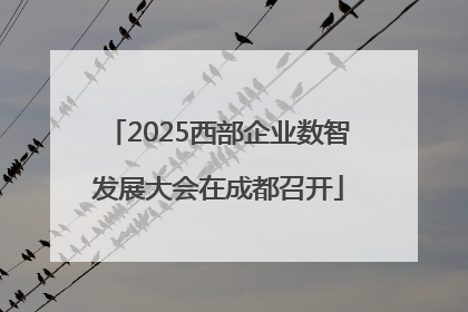 2025西部企业数智发展大会在成都召开