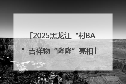 2025黑龙江“村BA”吉祥物“隆隆”亮相