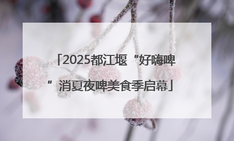 2025都江堰“好嗨啤”消夏夜啤美食季启幕