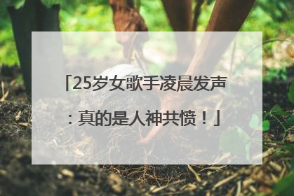 25岁女歌手凌晨发声：真的是人神共愤！