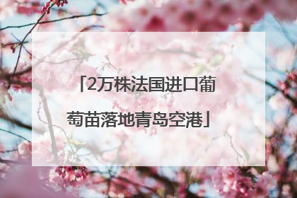 2万株法国进口葡萄苗落地青岛空港