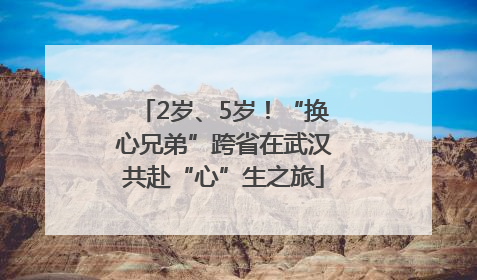 2岁、5岁！“换心兄弟”跨省在武汉共赴“心”生之旅